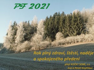 pf-2021.jpg